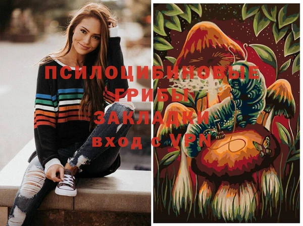 ПСИЛОЦИБИНОВЫЕ ГРИБЫ Алексеевка